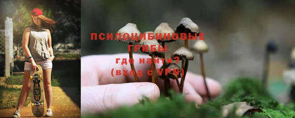 apvp Волоколамск